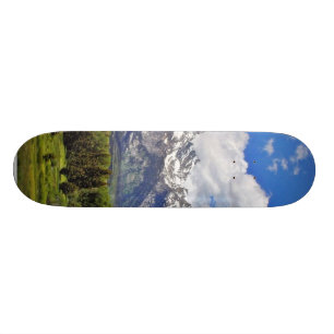 Großartiger Teton Nationalpark Skateboard
