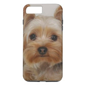 Großartiger Yorkshire Terrier Case-Mate iPhone Hülle (Rückseite)