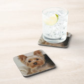 Großartiger Yorkshire Terrier Getränkeuntersetzer (Rechte Seite)