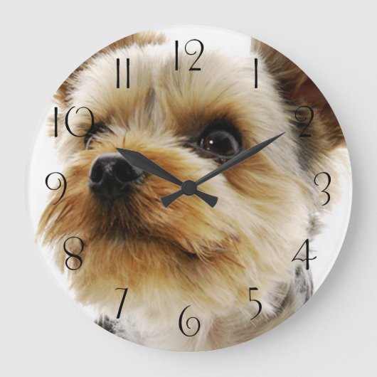 Großartiger Yorkshire Terrier Große Wanduhr (Vorderseite)
