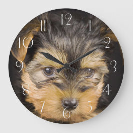 Großartiger Yorkshire Terrier Große Wanduhr