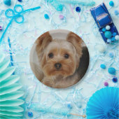 Großartiger Yorkshire Terrier Pappteller (Party)