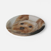 Großartiger Yorkshire Terrier Pappteller (Schrägansicht)