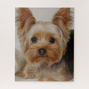 Großartiger Yorkshire Terrier Puzzle