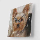 Großartiger Yorkshire Terrier Quadratische Wanduhr (Winkel)