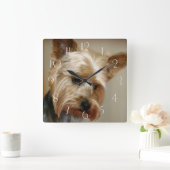 Großartiger Yorkshire Terrier Quadratische Wanduhr (Zuhause)