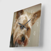 Großartiger Yorkshire Terrier Quadratische Wanduhr (Winkel)