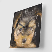 Großartiger Yorkshire Terrier Quadratische Wanduhr (Winkel)