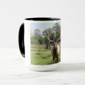 Großartiges Bull Elk Foto auf 15oz Combo-Tasse Tasse (Vorderseite Links)