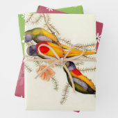 Großartiges Gras-Parakeet, Geschenk Geschenkpapier Set (Beispiel)