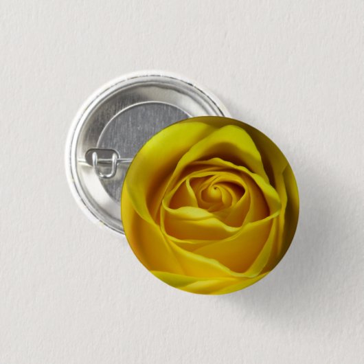 Großartiges Rosenmakro Button (Vorne & Hinten)