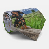 Großartiges Tetons Krawatte (Gerollt)