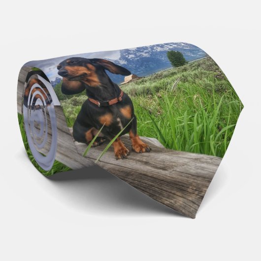 Großartiges Tetons Krawatte (Gerollt)