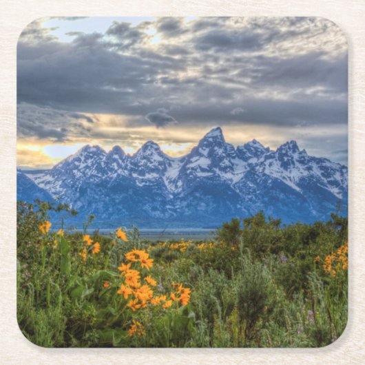 Großartiges Tetons Rechteckiger Pappuntersetzer (Vorderseite)
