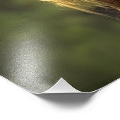 Großartiges Wild-Palomino-Pferd Fotodruck (Ecke)