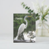 Großauge Postkarte (Stehend Vorderseite)