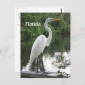 Großauge Postkarte (Vorne/Hinten)