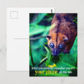 Großäugiges Opossum Postkarte (Vorne/Hinten)