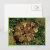 Großband Postkarte (Vorne/Hinten)