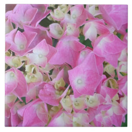 Großblättrige Hortensie Fliese