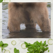 Großbraubär Geschirrtuch (Gefaltet)