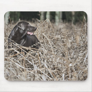 Großbritannien, England, Suffolk, Thetford Wald, Mousepad