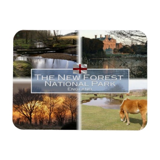 Großbritannien - England - The New Forest N.P. Magnet (Horizontal)