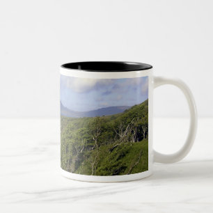 Großbritannien, Vereinigtes Königreich, Schottland Zweifarbige Tasse