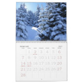 Großdruck-Wandkalender 2015 - Bäume Kalender (Feb 2027)