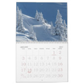 Großdruck-Wandkalender 2015 - Bäume Kalender (Jan 2027)
