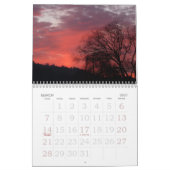 Großdruck-Wandkalender 2015 - Bäume Kalender (Mär 2027)
