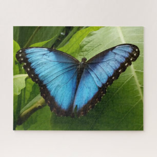 Große 520p 16 x 20 Schmetterling Foto Puzzle Gesch
