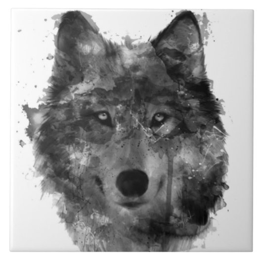 Große (6" X 6") Keramik-Foto-Fliese Fliese (Vorderseite)