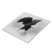 Große (6" x 6") Keramik Foto Tile Fliese (Seite)