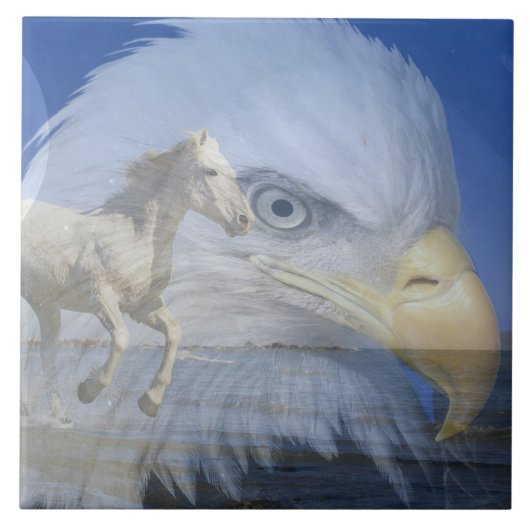 Große (6" x 6") Keramik Foto Tile Fliese (Vorderseite)