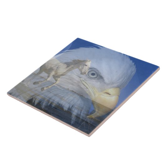 Große (6" x 6") Keramik Foto Tile Fliese (Seite)