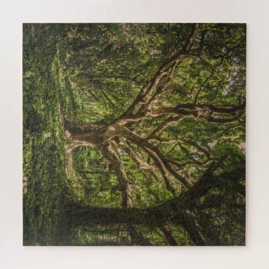 Große alte Bäume im Wald Puzzle (Horizontal)