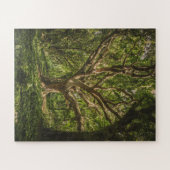 Große alte Bäume im Wald Puzzle (Horizontal)