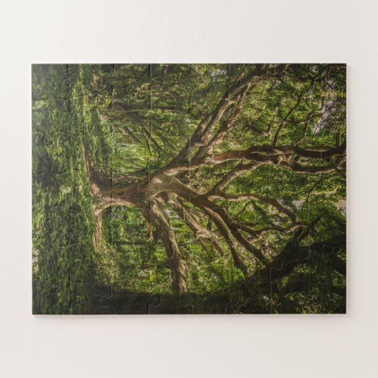 Große alte Bäume im Wald Puzzle (Horizontal)