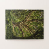 Große alte Bäume im Wald Puzzle (Horizontal)