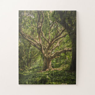 Große alte Bäume im Wald Puzzle