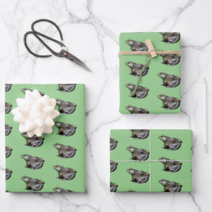 Große alte Bullfrogtierart Geschenkpapier Set