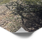 Grosse Arizona Wüste Picacho Staat Park Poster (Ecke)