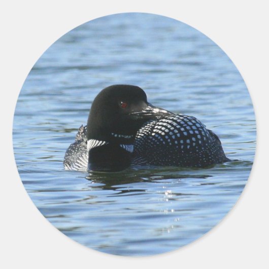 Große Aufkleber (Vorderseite)