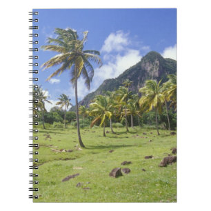 Grosse Aussicht auf den historischen Pfad im Notizblock