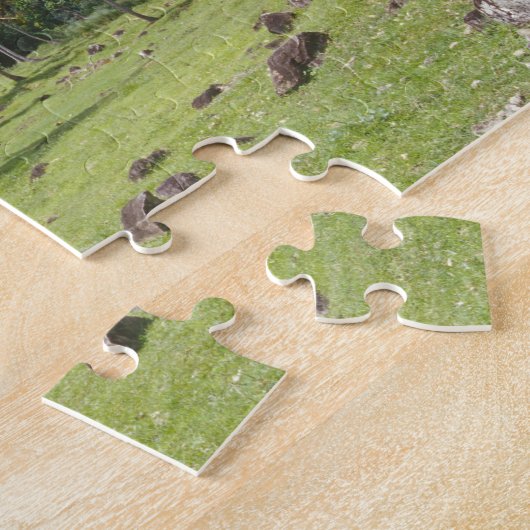 Grosse Aussicht auf den historischen Pfad im Puzzle (Seite)