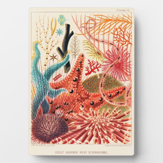 Große-Barriere-Riff-Echinodermen Fotoplatte (Vorderseite)