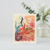 Große-Barriere-Riff-Echinodermen Postkarte (Stehend Vorderseite)