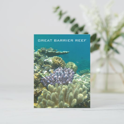 große Barrierekoralle Postkarte (Stehend Vorderseite)