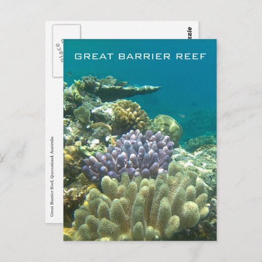 große Barrierekoralle Postkarte (Vorne/Hinten)